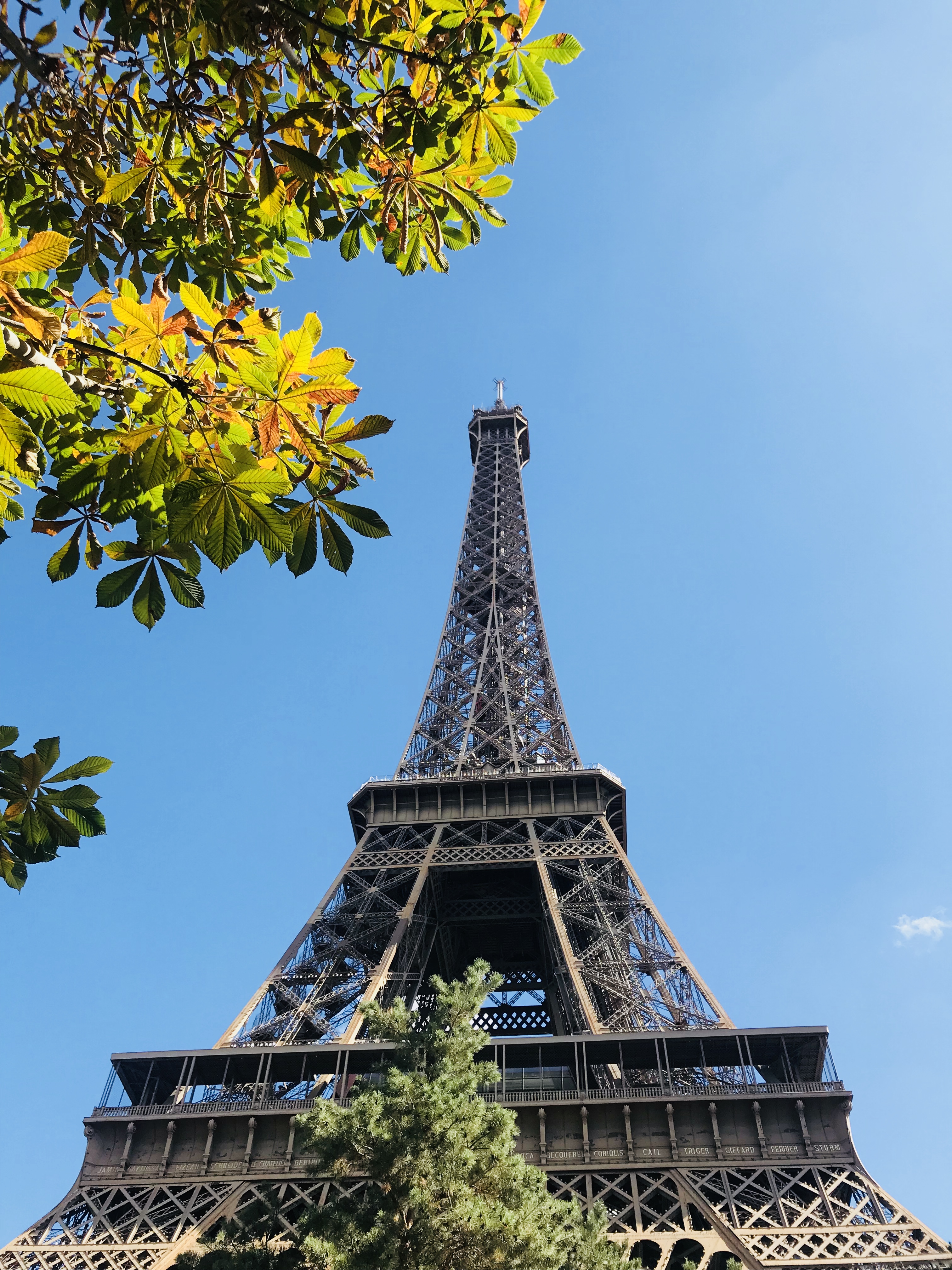Eiffel Tower 艾佛儿铁塔 1